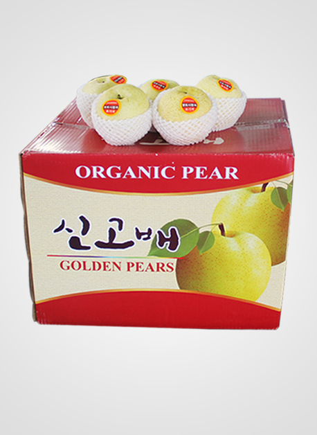 Golden Pears 黄金梨